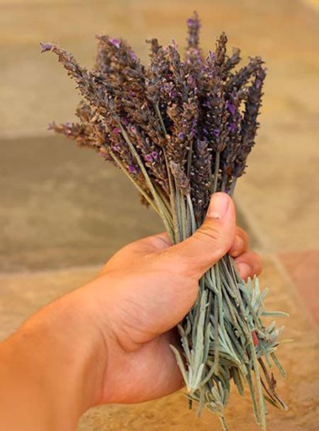 Flores secas de lavanda de 2 libras, lavanda seca con 30 bolsas .